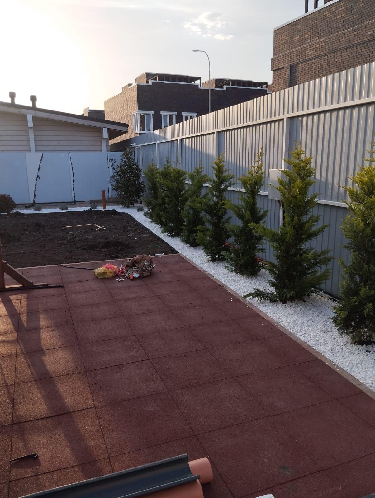 Готовая благоустроенная площадка с хвойными посадками